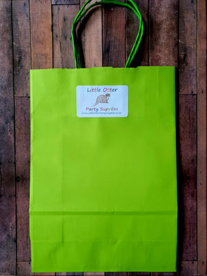 Nature Plastic Free Eco Party Bag with Bird Identification Guide and Wooden Bracelet
