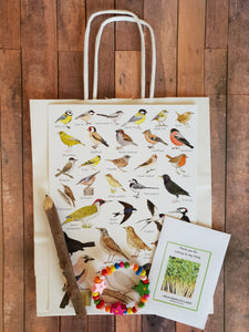 Nature Plastic Free Eco Party Bag with Bird Identification Guide and Wooden Bracelet