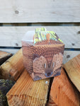 Party Food Box - Hedgehog