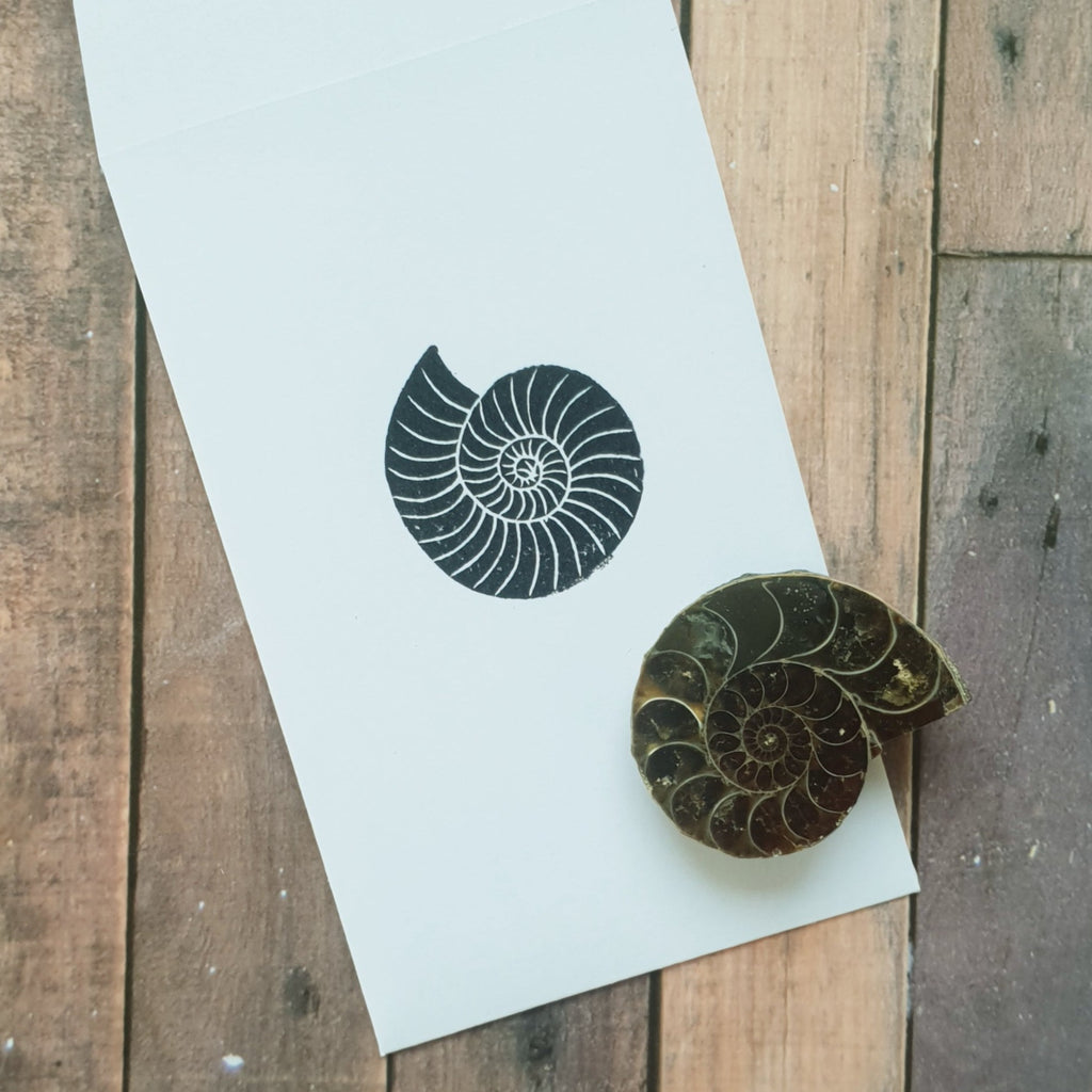 Ammonite Fossil Party Bag Filler
