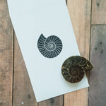 Ammonite Fossil Party Bag Filler