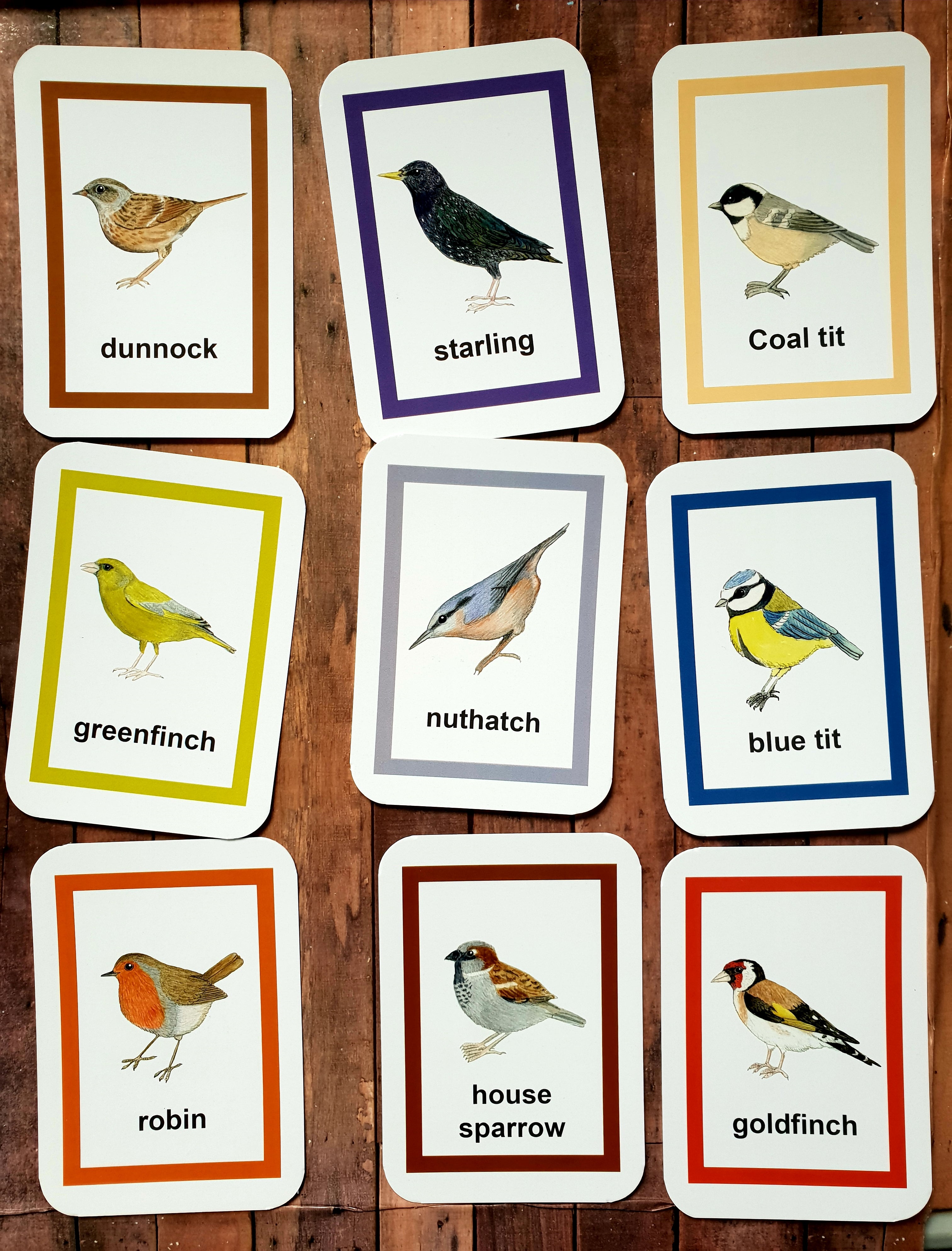 Garden Bird Flashcards