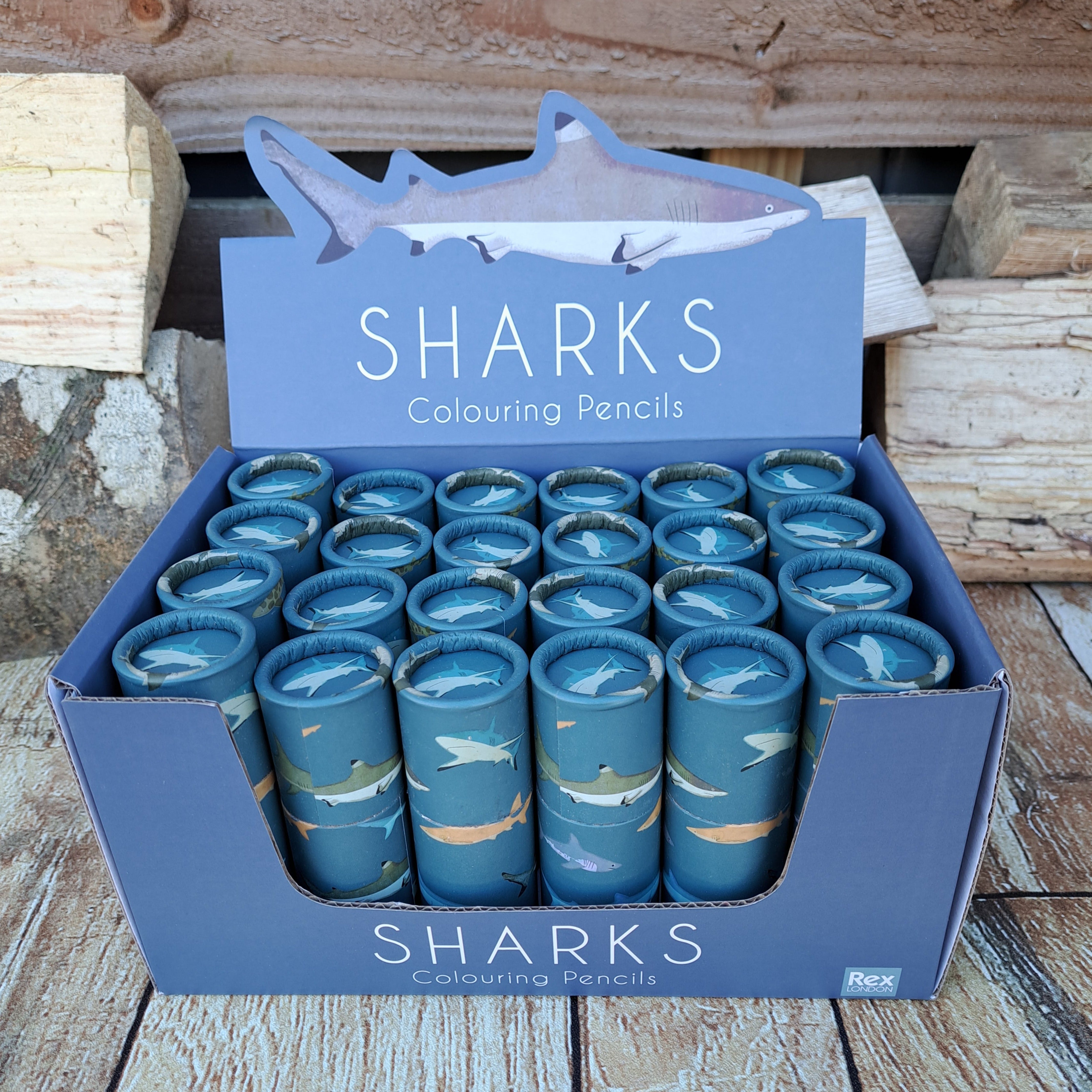 24 x Rex London Shark Colouring Pencils (Also available individually)