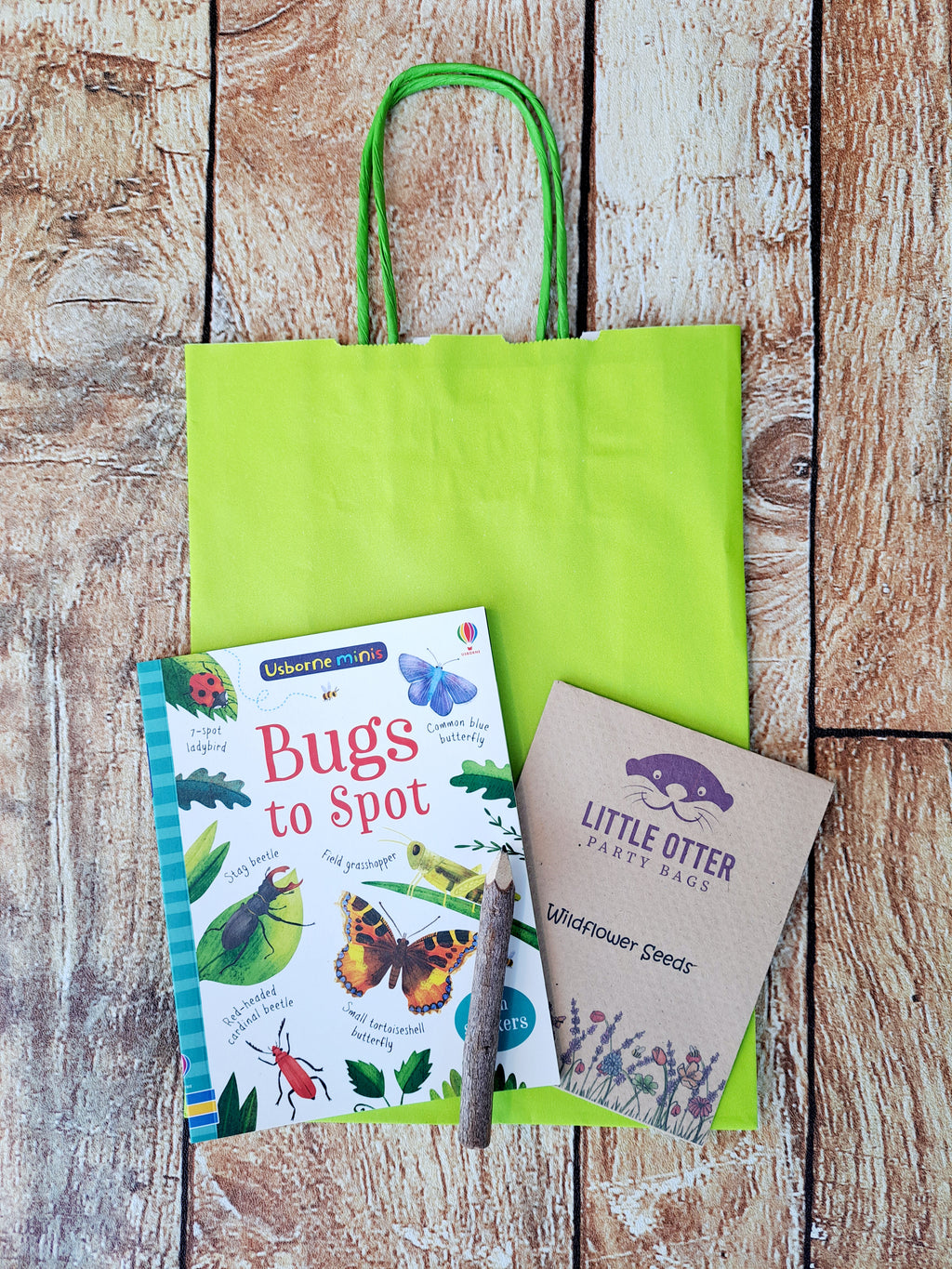 Usborne Spotters Guide Bugs Party Bag