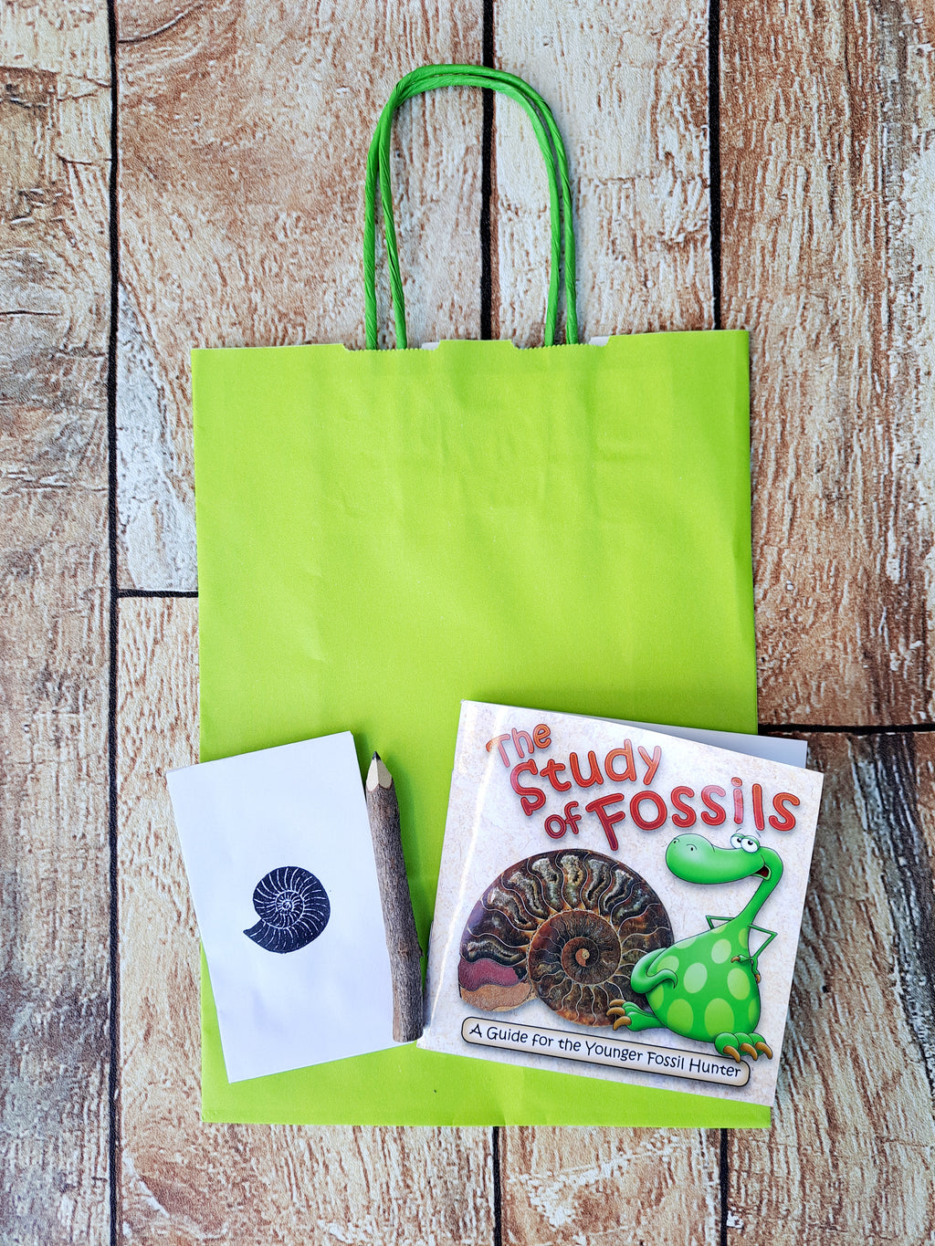 Dinosaur and Fossil Plastic Free Party Bag